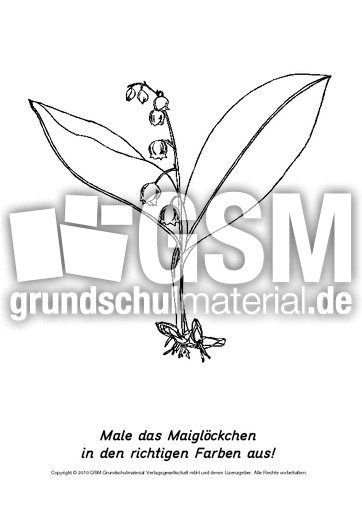 Frühlingsblüher-Ausmalbilder 3.pdf
